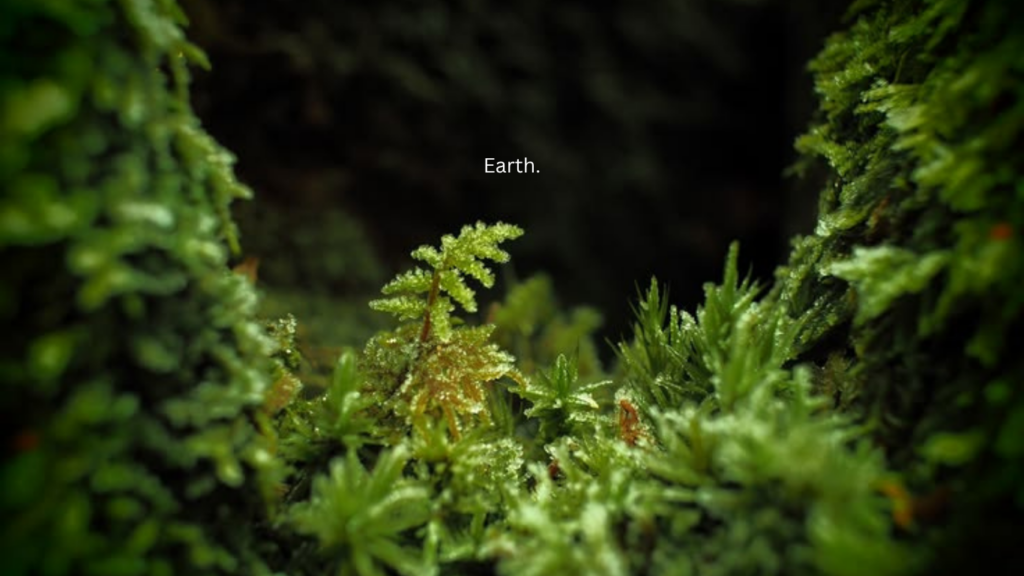 Earth 1 1024x576